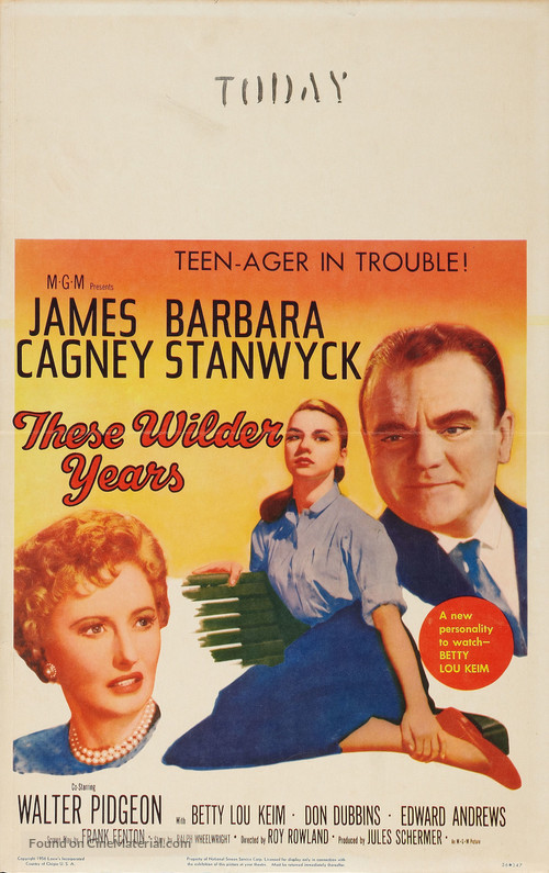 These Wilder Years - Movie Poster