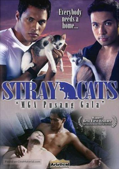 Mga pusang gala - Philippine Movie Cover