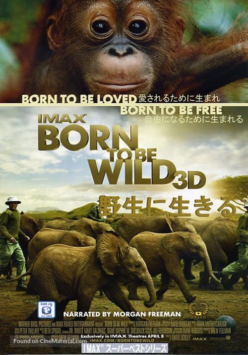 Born to Be Wild - Japanese Movie Poster