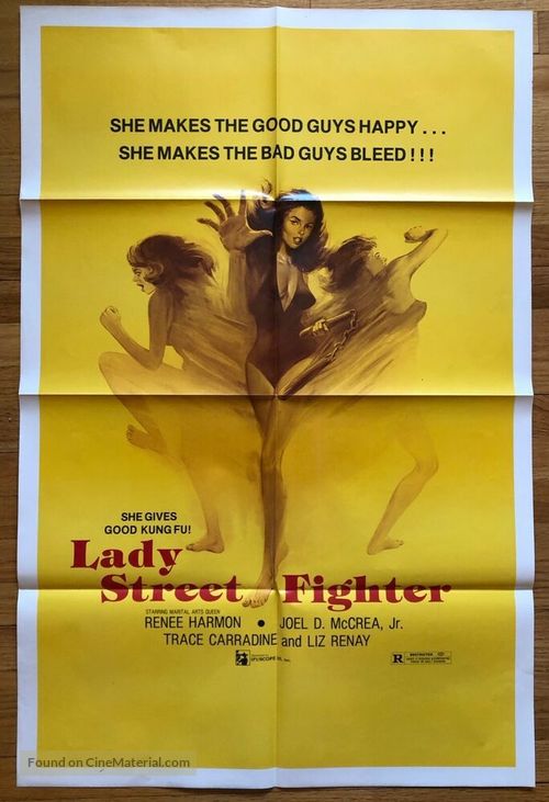 Lady Street Fighter - Movie Poster