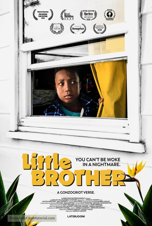 Little Brother - Movie Poster