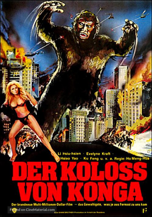 Xing xing wang - German Movie Poster