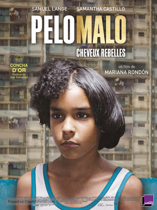 Pelo malo - French Movie Poster