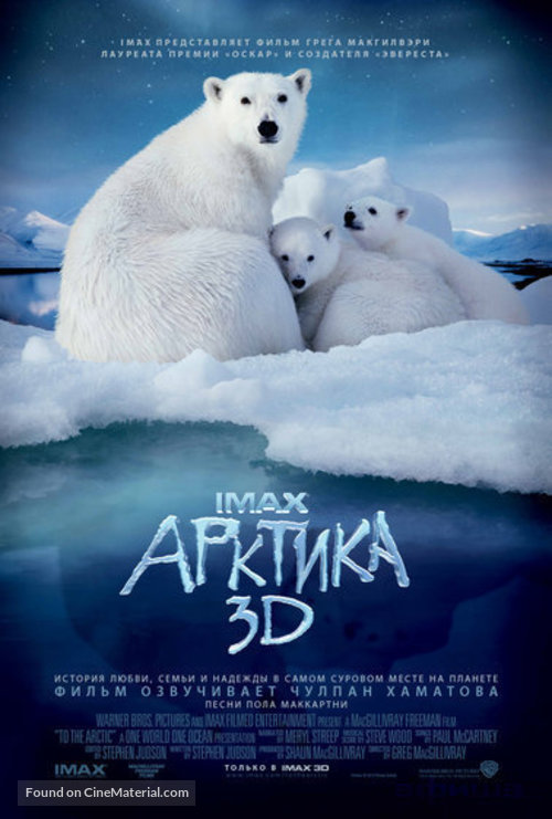 To the Arctic 3D - Russian Movie Poster