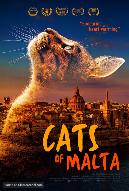 Cats of Malta - International Movie Poster