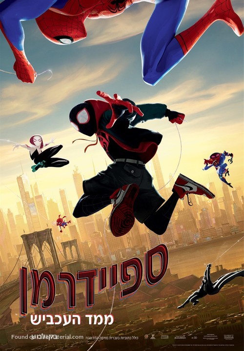 Spider-Man: Into the Spider-Verse - Israeli Movie Poster