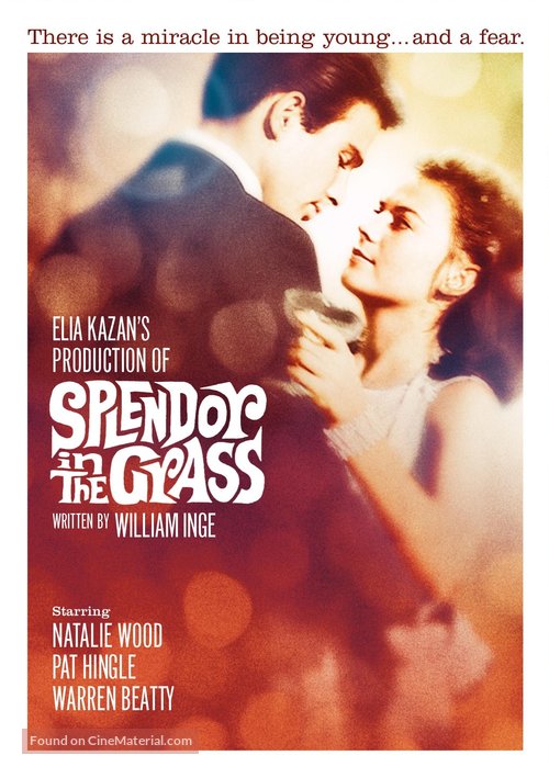 Splendor in the Grass - Movie Cover