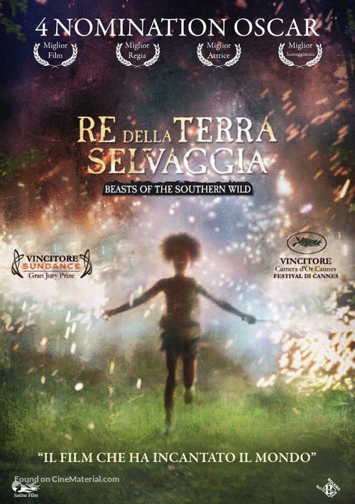 Beasts of the Southern Wild - Italian DVD movie cover