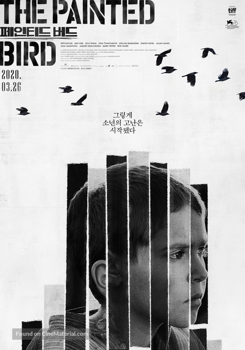 The Painted Bird - South Korean Movie Poster