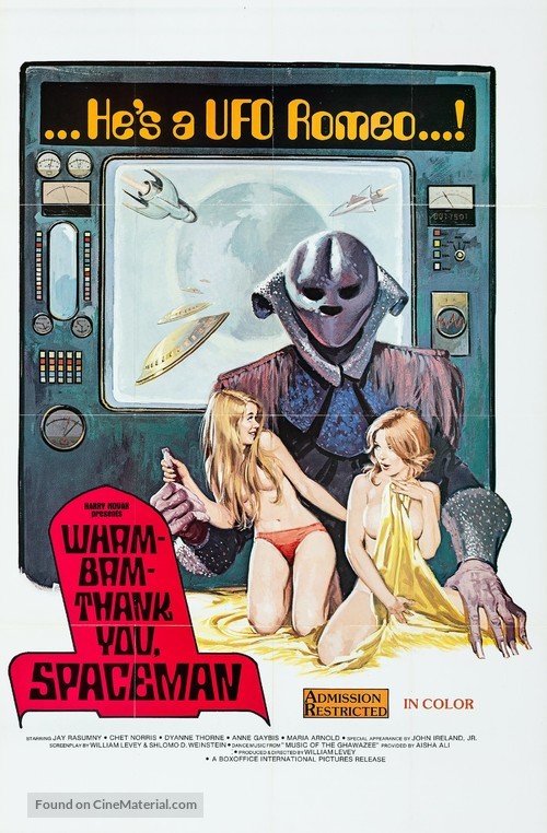 Wam Bam Thank You Spaceman - Movie Poster