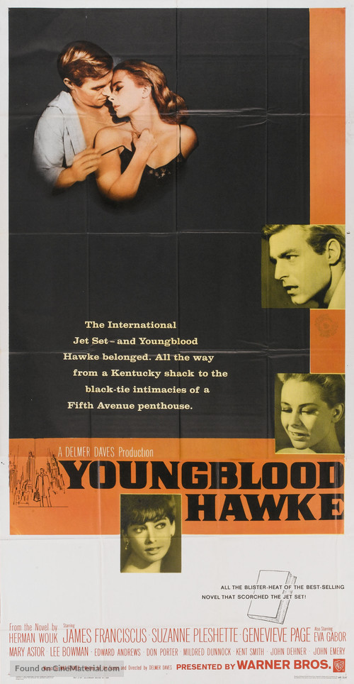 Youngblood Hawke - Movie Poster