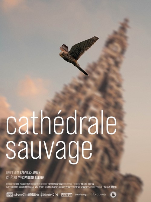 Cath&eacute;drale Sauvage - French Movie Poster