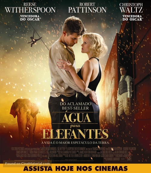 Water for Elephants - Brazilian Movie Poster