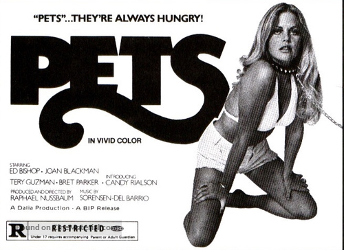 Pets - poster