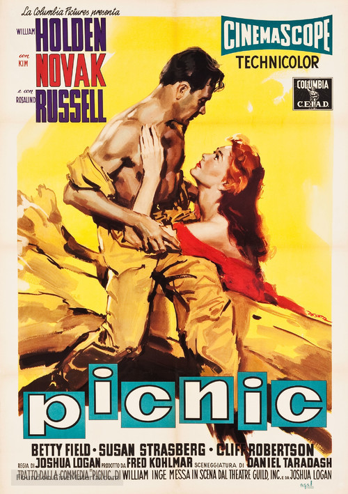 Picnic - Italian Movie Poster