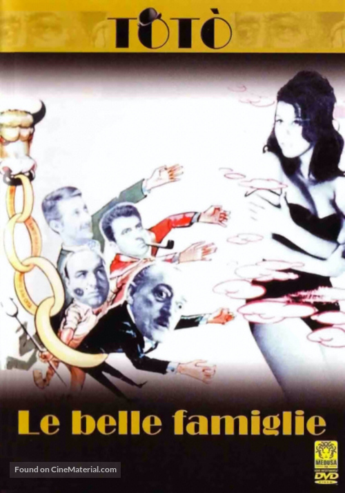 Le belle famiglie - Italian DVD movie cover