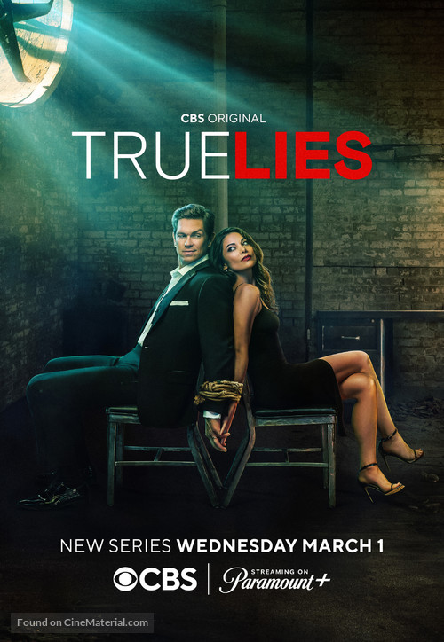 &quot;True Lies&quot; - Movie Poster