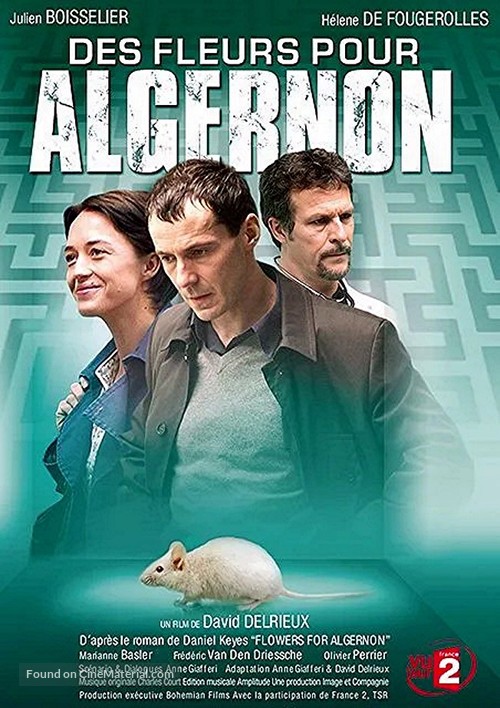 Des fleurs pour Algernon - French DVD movie cover