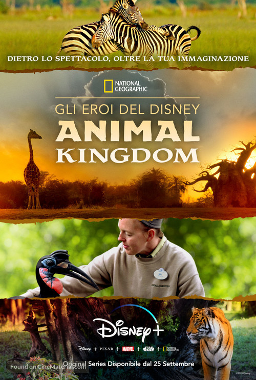 &quot;Magic of Disney&#039;s Animal Kingdom&quot; - Italian Movie Poster