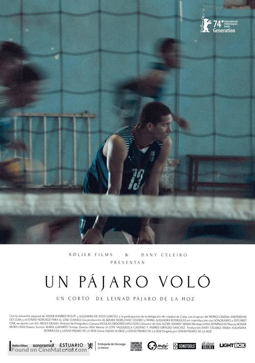 Un p&aacute;jaro vol&oacute; - Cuban Movie Poster