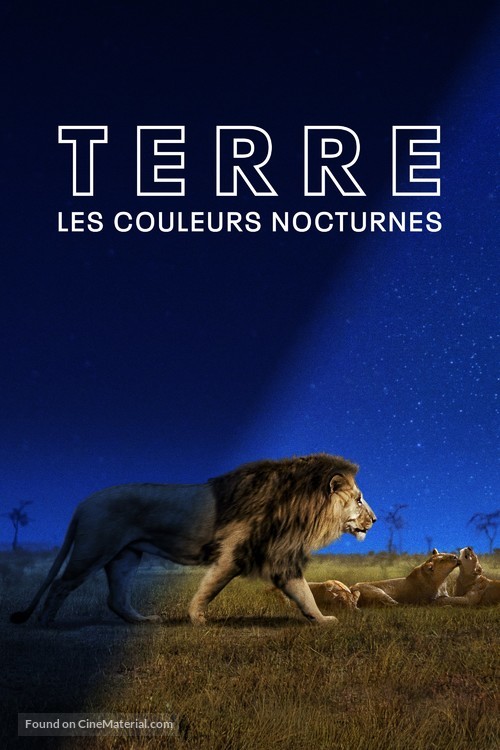 &quot;Earth at Night in Color&quot; - French Movie Cover