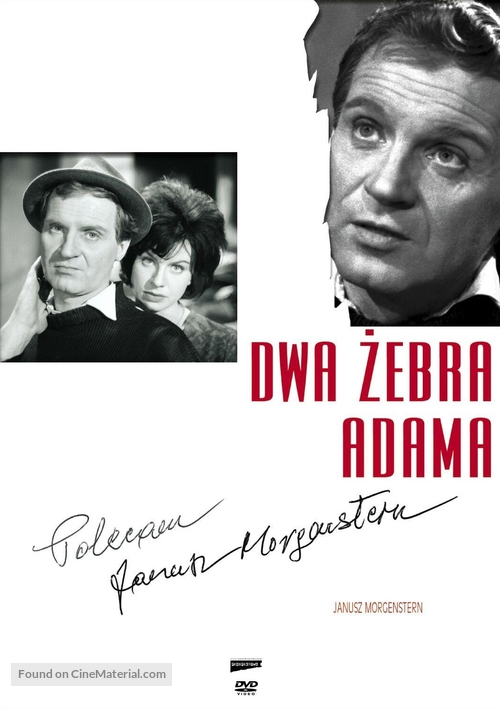 Dwa zebra Adama - Polish Movie Cover