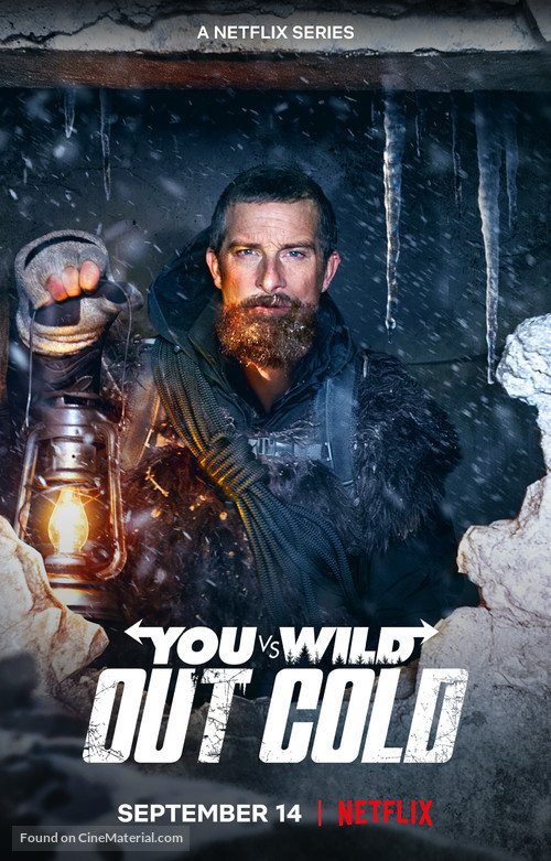 You vs. Wild: Out Cold - Movie Poster