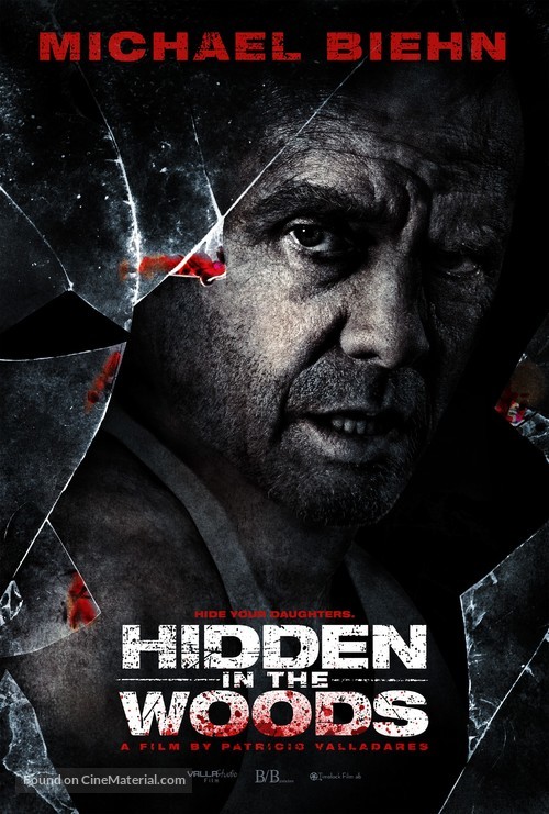 Hidden in the Woods - Movie Poster