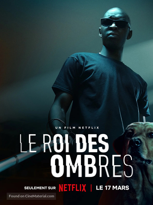 Le Roi des Ombres - French Movie Poster