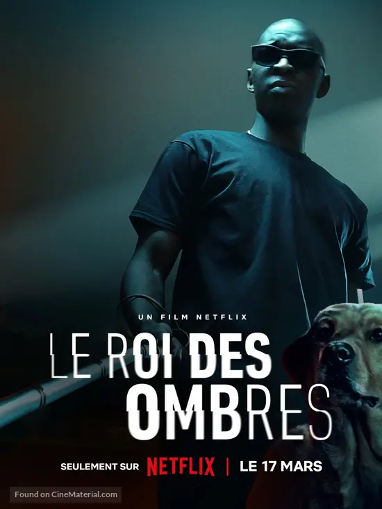 Le Roi des Ombres (2023) French movie poster Le Roi des Ombres (2023) French movie poster