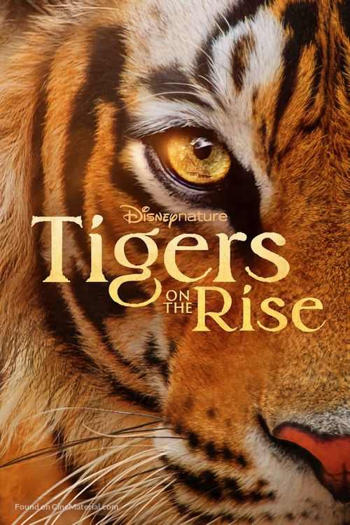 Tigers on the Rise - Movie Poster
