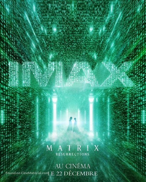 The Matrix Resurrections - French Movie Poster