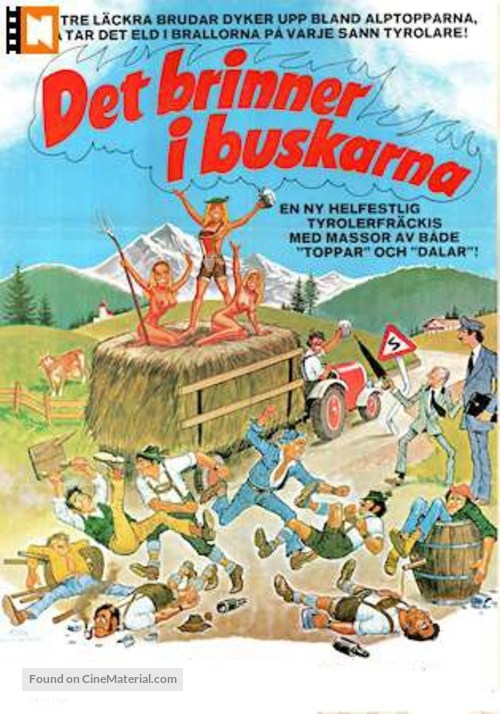 Drei Schwedinnen in Oberbayern - Swedish Movie Poster