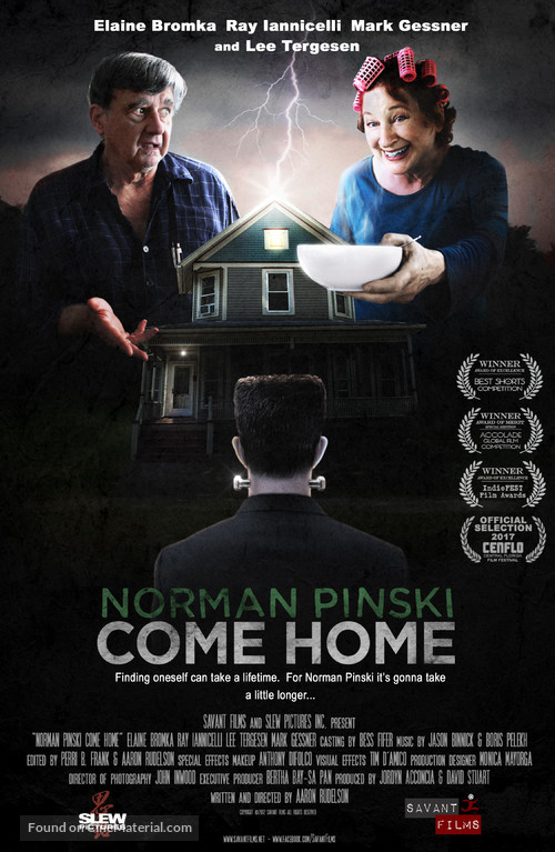 Norman Pinski Come Home - Movie Poster