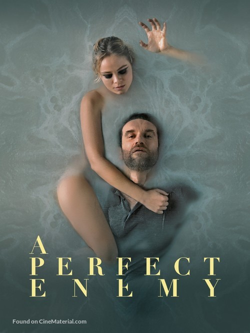 A Perfect Enemy - International Video on demand movie cover