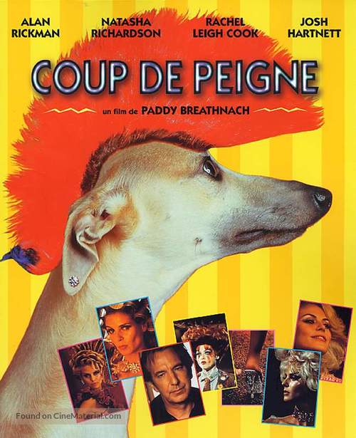 Blow Dry - French DVD movie cover