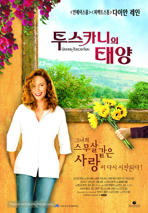 Under the Tuscan Sun - South Korean poster