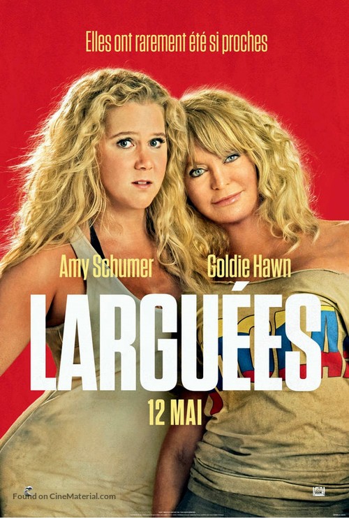 Snatched - French Movie Poster