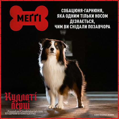 Strays - Ukrainian Movie Poster