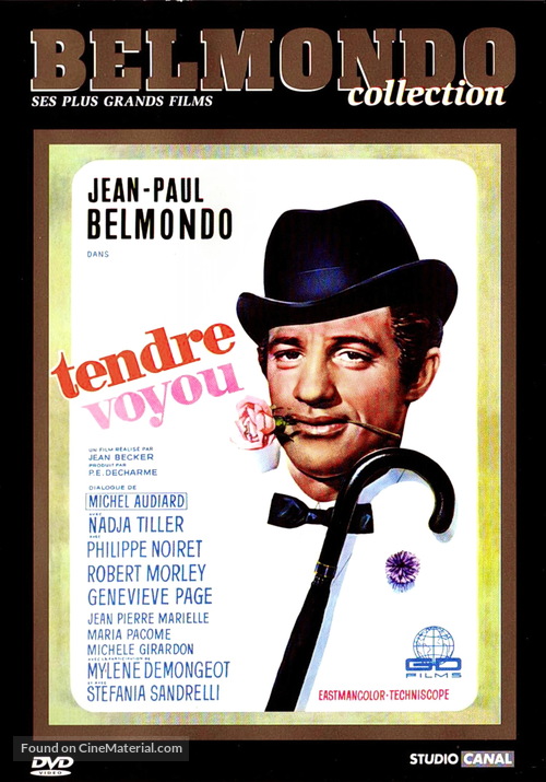 Tendre voyou - French Movie Cover