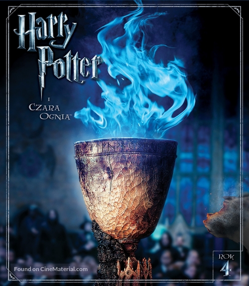 Harry Potter and the Goblet of Fire - Polish Movie Cover