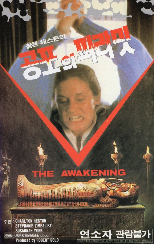 The Awakening - South Korean VHS movie cover