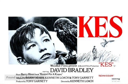 Kes - Belgian Movie Poster