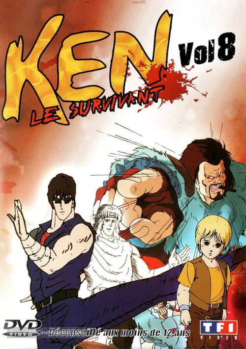 &quot;Hokuto no Ken&quot; - French DVD movie cover