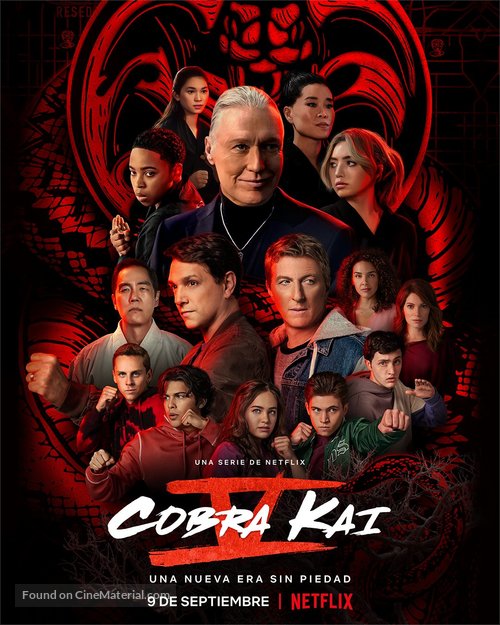 &quot;Cobra Kai&quot; - Argentinian Movie Poster