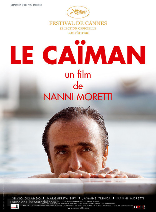 Il caimano - French Movie Poster