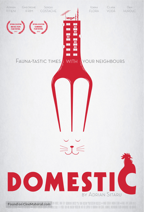 Domestic - Romanian Movie Poster
