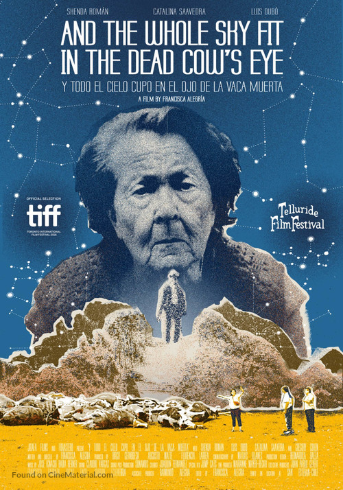 And the Whole Sky Fit in the Dead Cow&#039;s Eye - Chilean Movie Poster