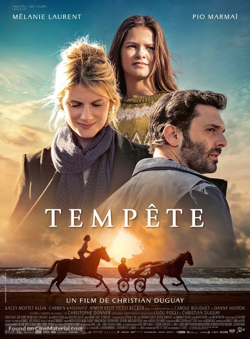 Temp&ecirc;te - French Movie Poster