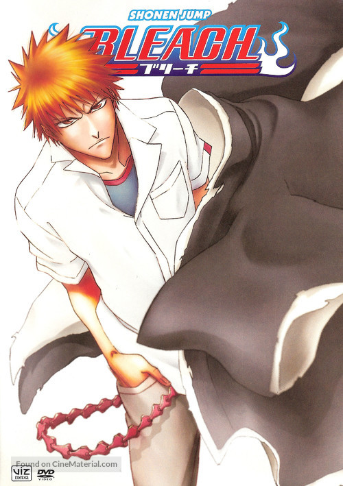 &quot;Bleach&quot; - DVD movie cover